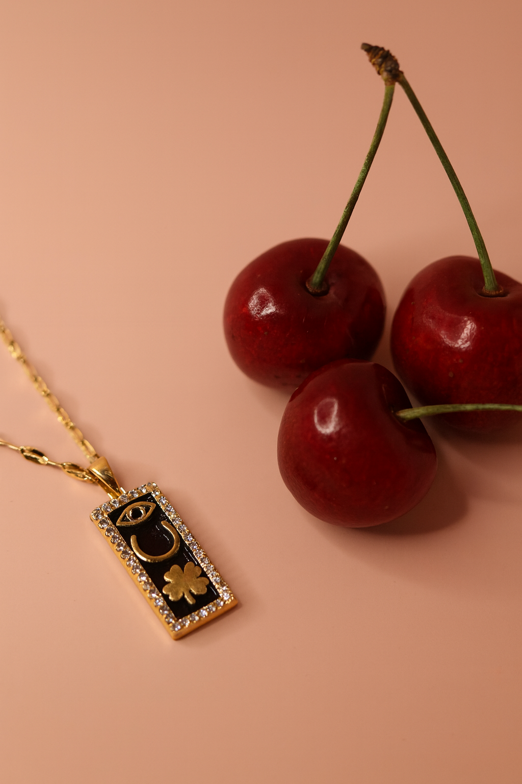 Guardian Charm Necklace